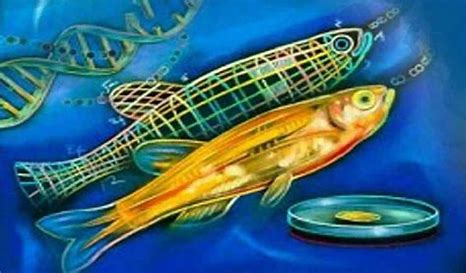 Bioteknologi genetik dalam akuakultur